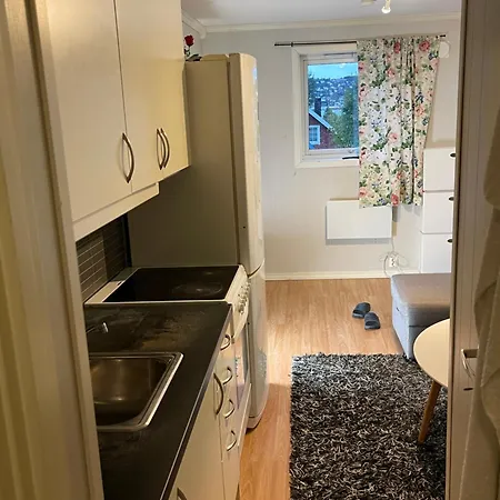 Romslig Hybel Apartment