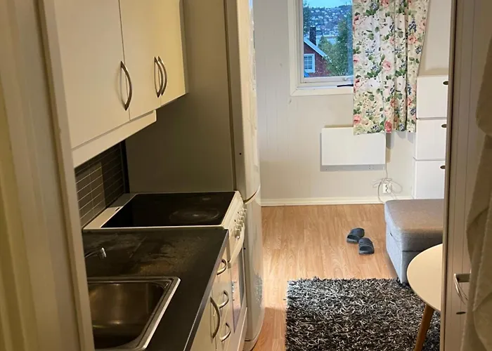 Romslig Hybel Apartamento
